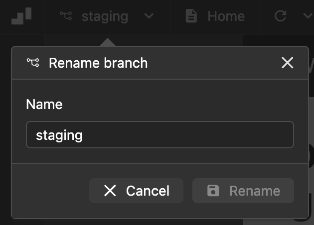 Branch Options