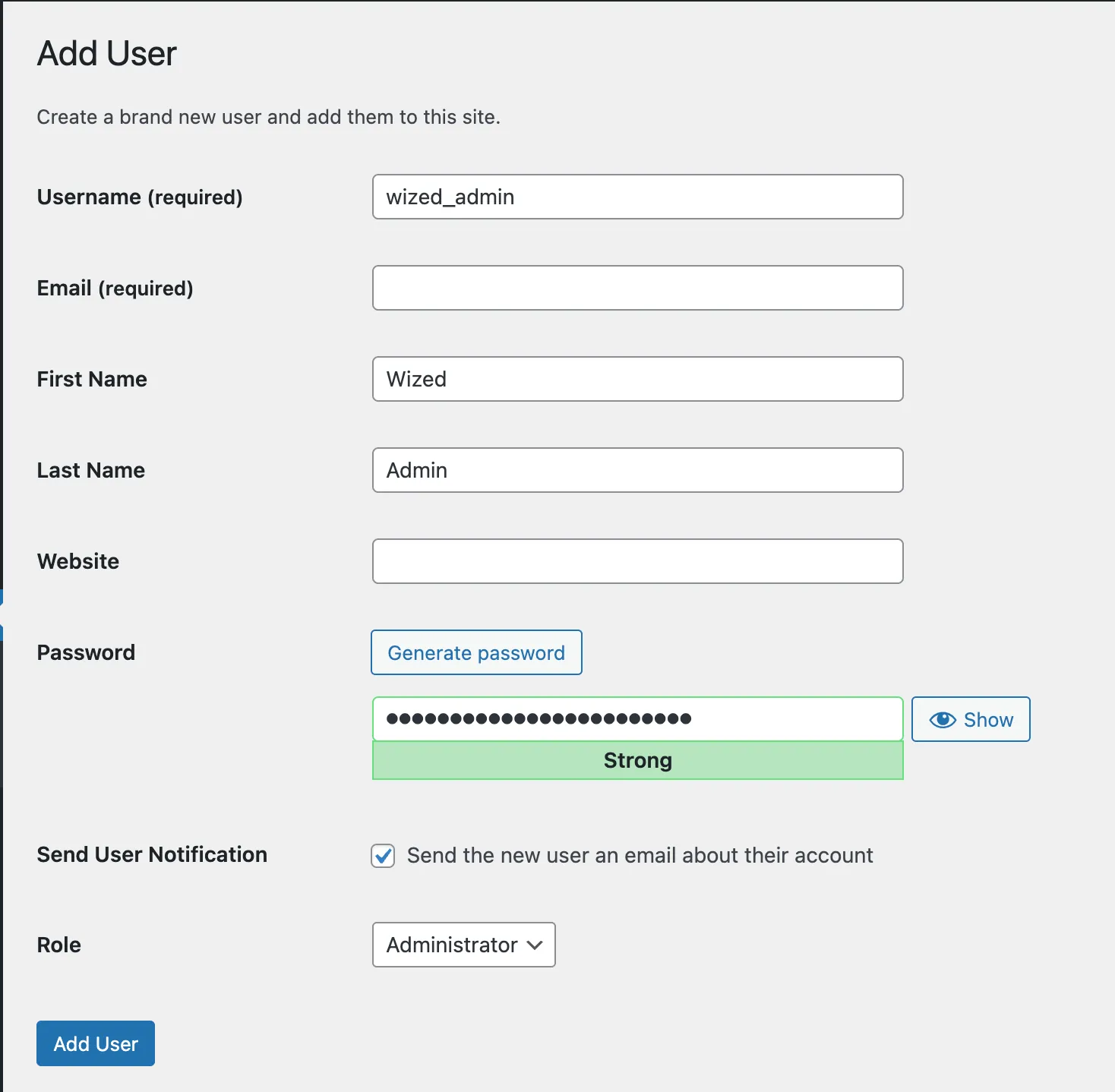 Wordpress Wized Admin